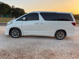 2010 Toyota Alphard