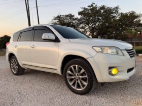 2010 Toyota Vanguard