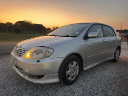 2001 Toyota RunX